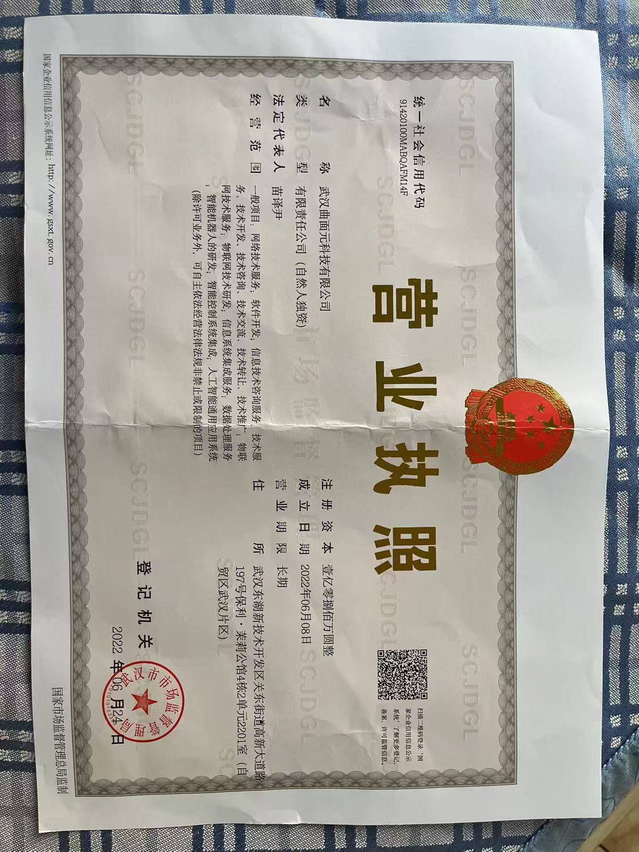 执照